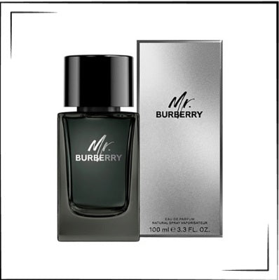 Mr. Burberry By Burberry 3.3